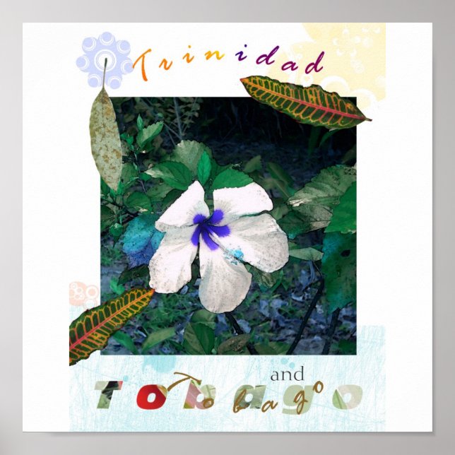 blue  pollen ts zazzle poster (Front)