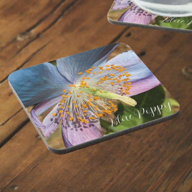 Blue Poppy Bloom Floral Coaster (In Situ)