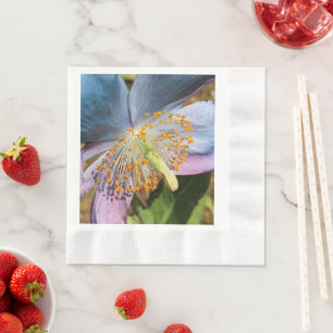 Blue Poppy Bloom Floral Napkin