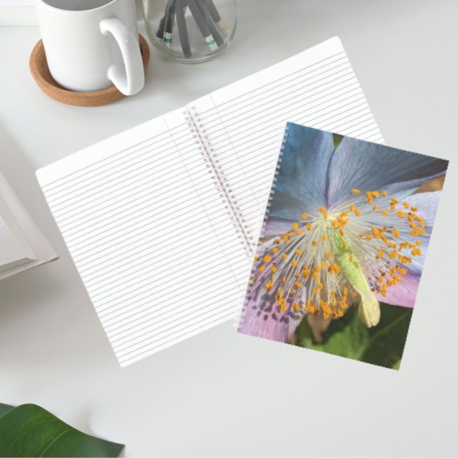 Blue Poppy Bloom Floral Notebook (In Situ)
