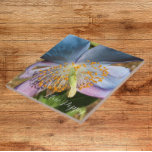 Blue Poppy Bloom Floral Tile<br><div class="desc">Ceramic tile that features the photo image of a Himalayan Blue Poppy flower bloom. Makes a pretty kitchen trivet!</div>