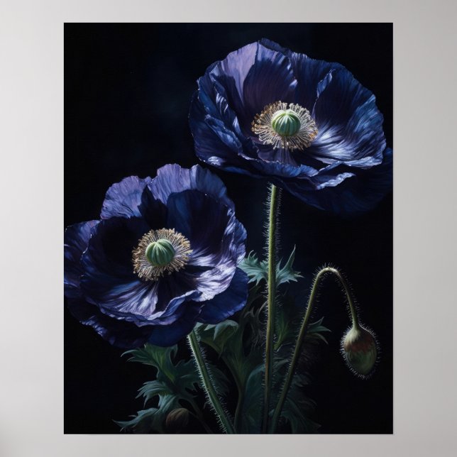 Blue Poppy Flowers Art Print Poster (Front)