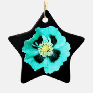 Blue Poppy ornament star black