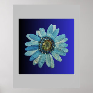 blue poster