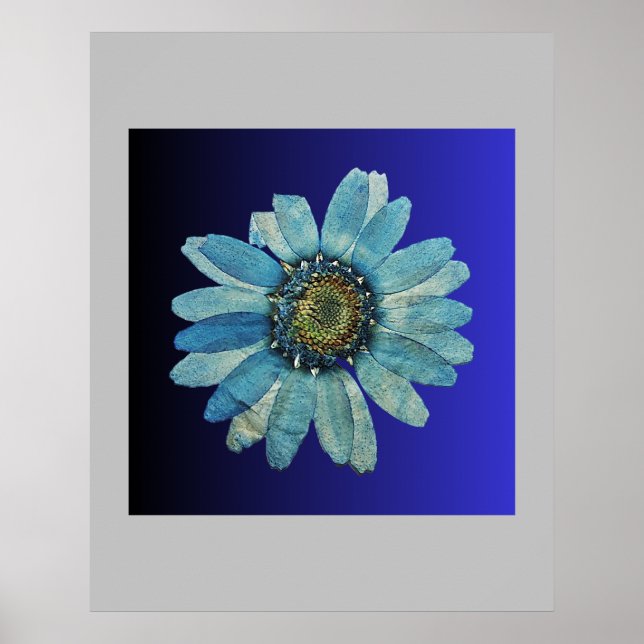 blue poster (Front)