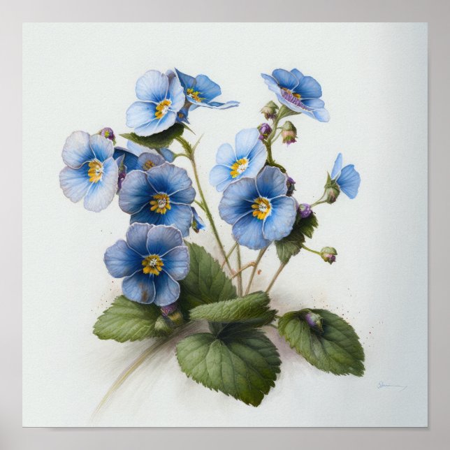 Blue Primrose Flowers Art Print Poster (Front)