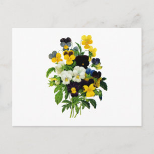 Blue Purple and Yellow Pansies By Redoute Postcard