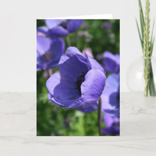 Blue Purple Anemone Floral Photography GC Card