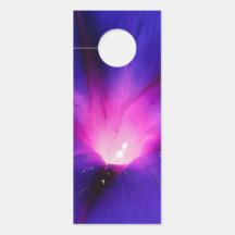Blue-Purple Floral