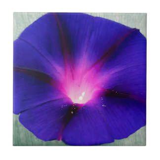 Blue-Purple Floral Tile