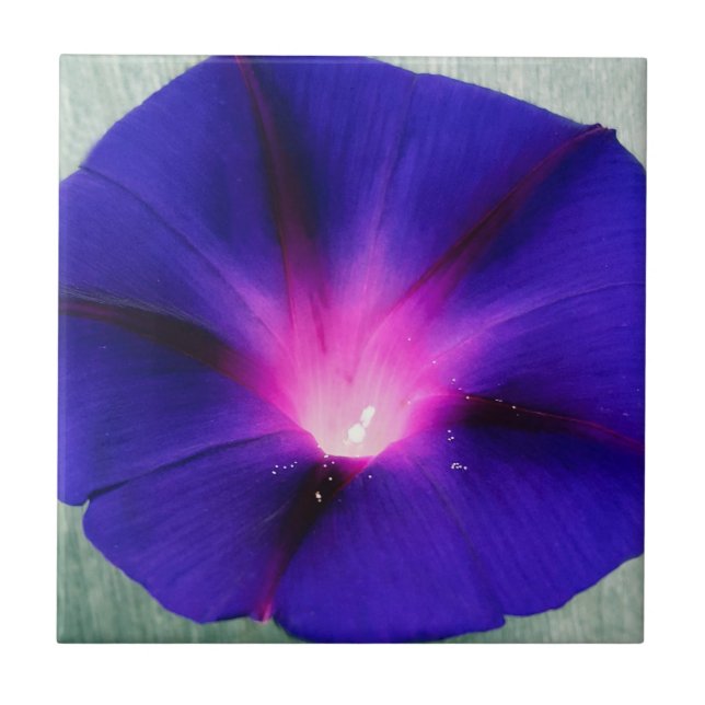 Blue-Purple Floral  Tile (Front)