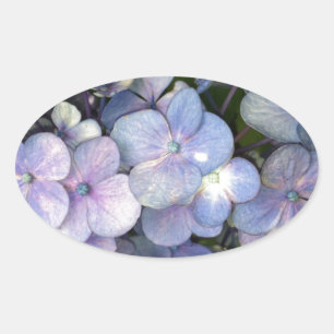 Blue Purple Hydrangea Oval Stickers