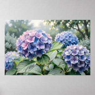 Blue & Purple Hydrangeas Fine Art Print