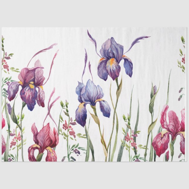 Blue Purple Pink Iris Flowers Watercolor Garden Tissue Paper (Front)