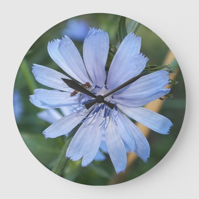 Blue Radicchio Flower N Bee Wall Clock (Front)