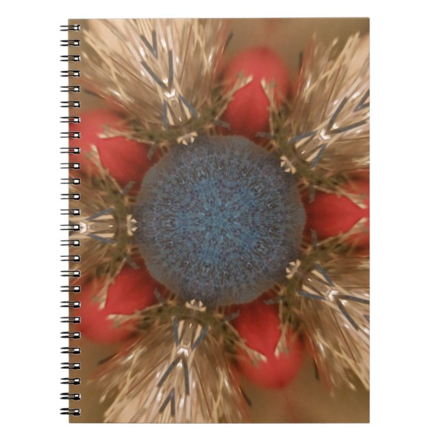 Blue Red Christmas Decoration Baubles Notebook (Front)