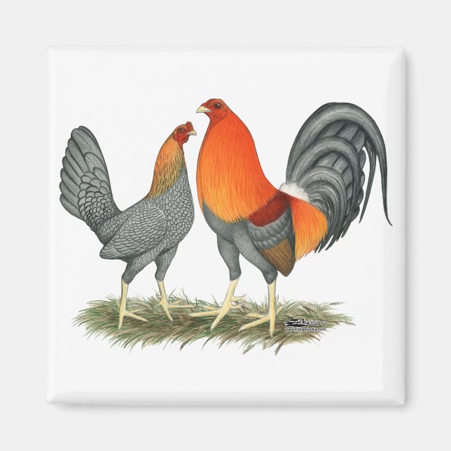 Blue Red Gamefowl Magnet (Front)