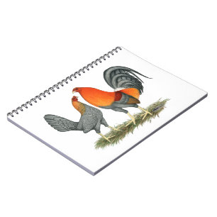 Blue Red Gamefowl Spiral Notebook