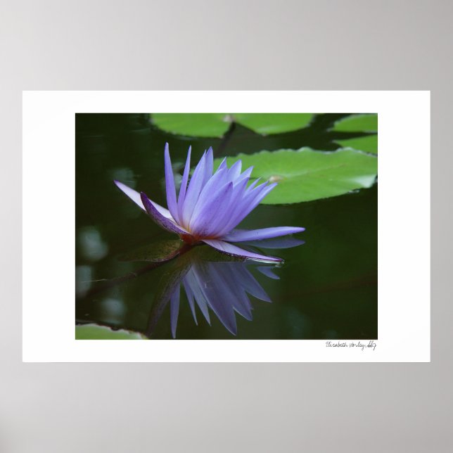 Blue Reflections Poster (Front)