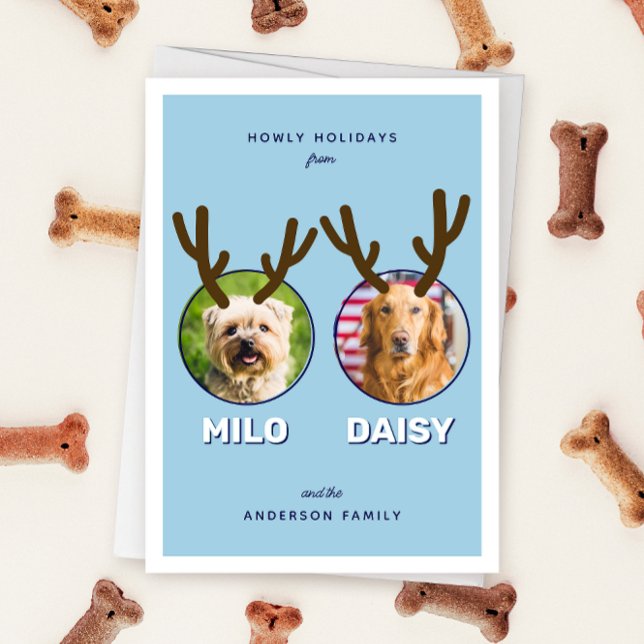 Blue Reinpet 2 Photo Pet Christmas Holiday Card (blue two photo pet Christmas holiday card with message "Howly Holidays" with two sets of antlers)
