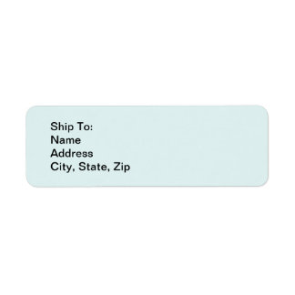 Blue Return Address Labels with Your Information