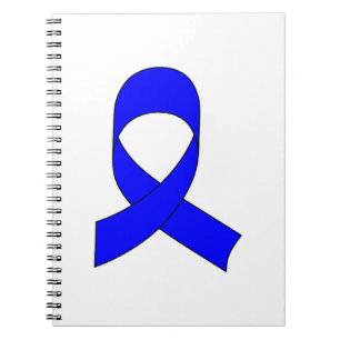 Blue Ribbon Drawing Spiral Notebook