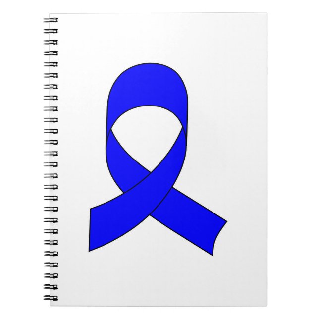 Blue Ribbon Drawing Spiral Notebook (Front)