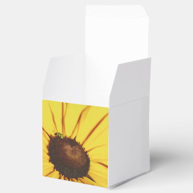 Blue Ridge Black-Eyed Susan Favour Box (Opened)