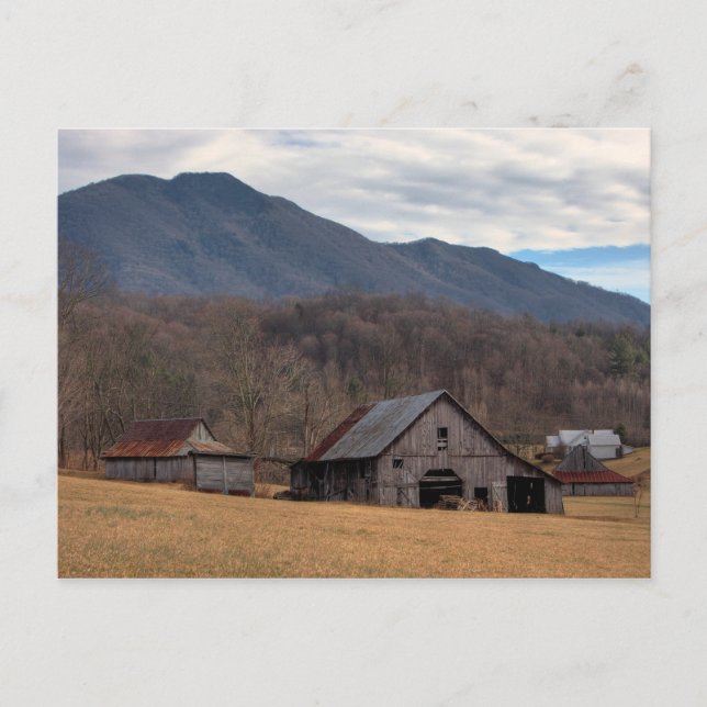 Blue Ridge Mountain Barn Postcard (Front)