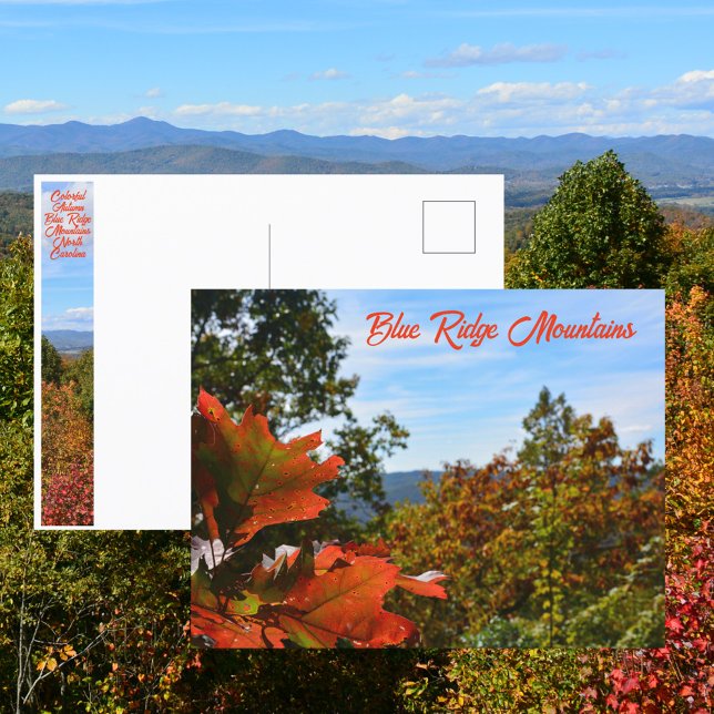 Blue Ridge Mountains NC Colorful Autumn Photo Postcard (Creator Uploaded)