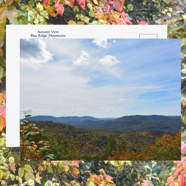 Blue Ridge Mountains North Carolina Autumn View Postcard (Creator Uploaded)