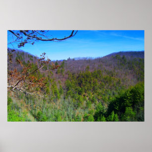 Blue Ridge Mountains View Poster