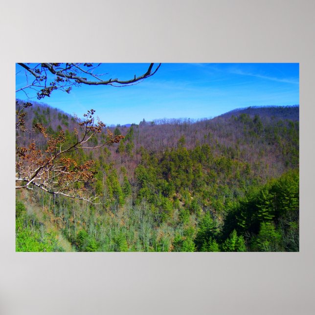 Blue Ridge Mountains View Poster (Front)