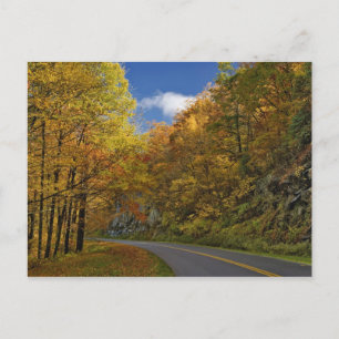 Blue Ridge Parkway curving through autumn colours Postcard