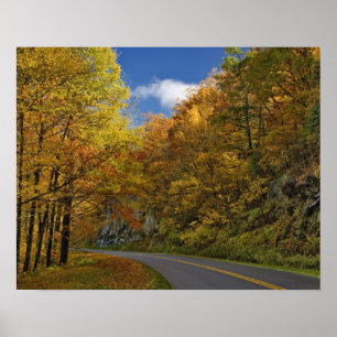 Blue Ridge Parkway curving through autumn colours Poster