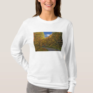 Blue Ridge Parkway curving through autumn colours T-Shirt
