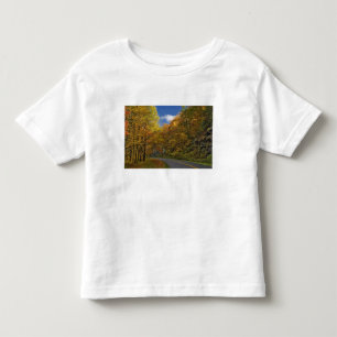 Blue Ridge Parkway curving through autumn colours Toddler T-Shirt