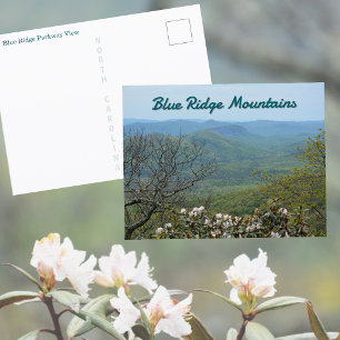 Blue Ridge Parkway Mountain Overlook View Postcard