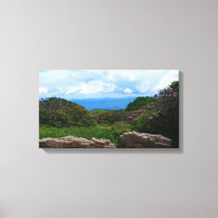 Blue Ridge Spring Canvas Print
