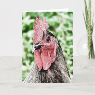 Blue Rooster Digital Art Card