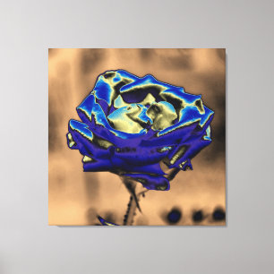 Blue Rose Canvas Print