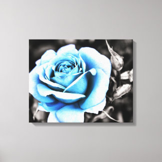 blue rose canvas print