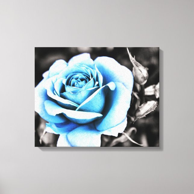 blue rose canvas print (Front)