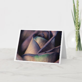 Blue Rose Close up Card