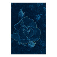blue rose contour