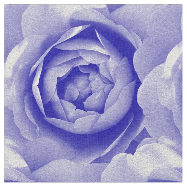 Blue rose fabric (Close Up)