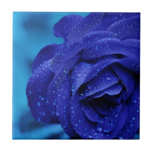 Blue rose flower tile