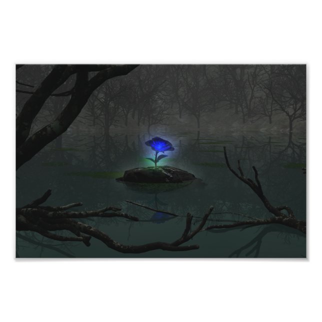 Blue Rose Photo Print (Front)