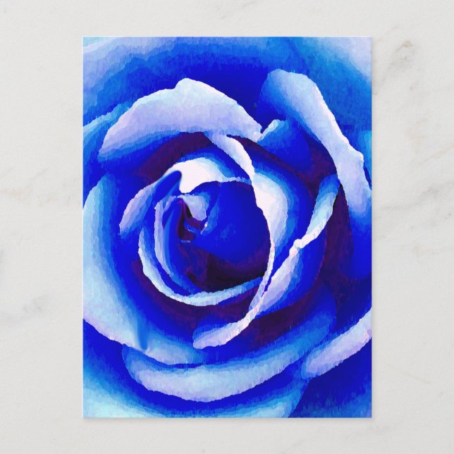 Blue Rose_ Postcard (Front)