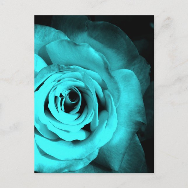 Blue Rose Postcard (Front)